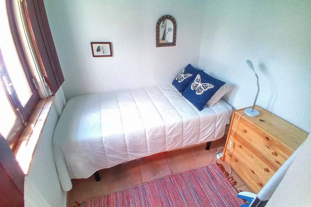 ヴィラ・ド・ビスポ Casinha De Aldeia No Coracao Da Costa Vicentinaヴィラ エクステリア 写真